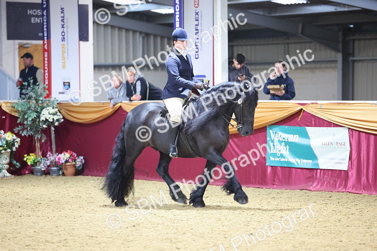 SBM_19276 - Class K Equitation Champ
