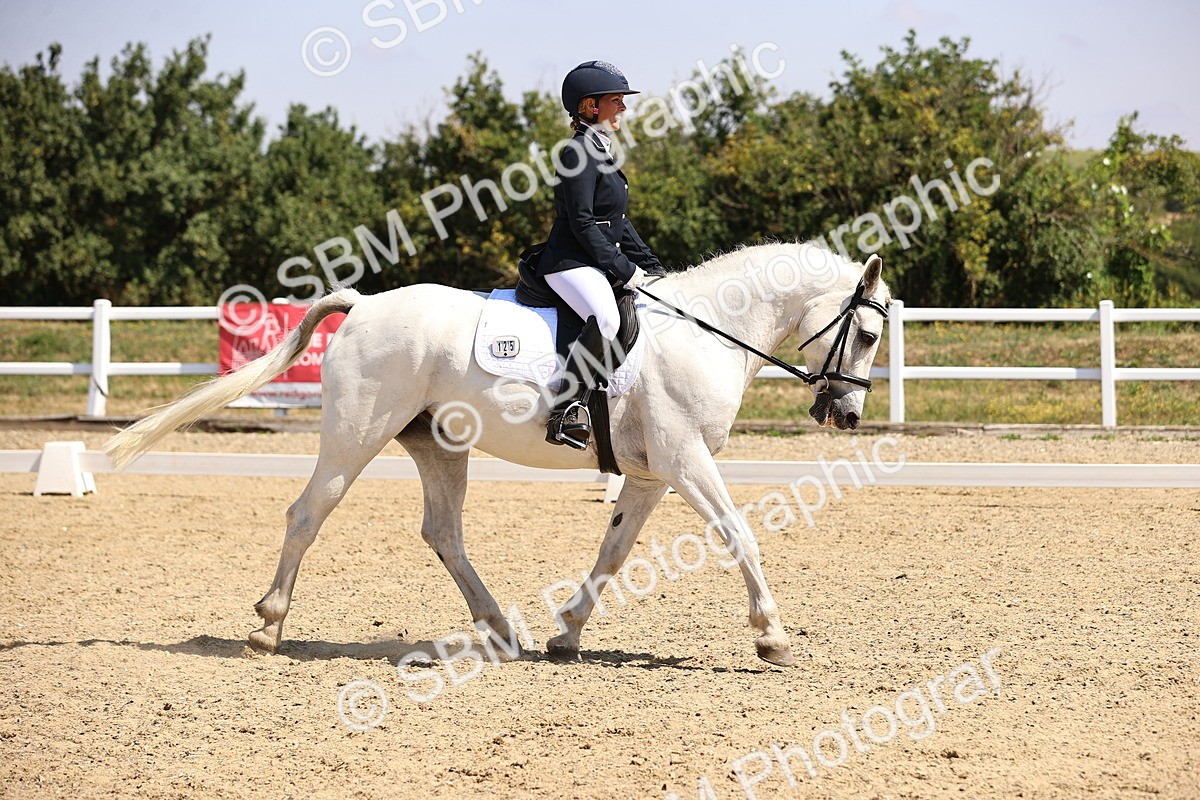 SBM_003655 - Intro 2