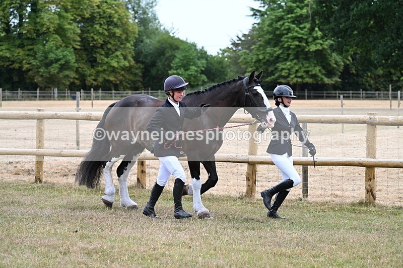 WJ7_8932 - Class 4a Prettiest Mare 14.2hh and over