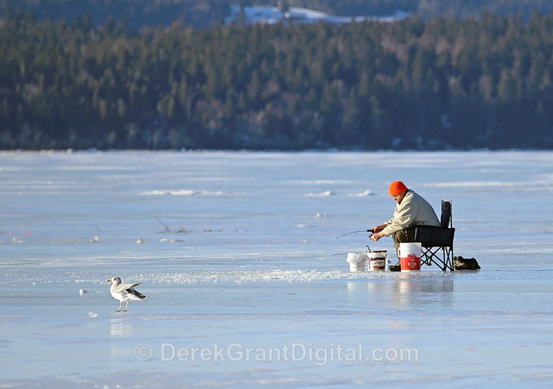 Smelt Fishing the Kennebecasis - Sport & Recreation