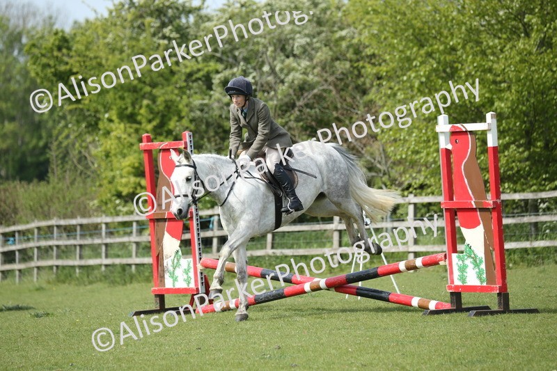 20260426-1626 - Class 14 - Novice 60cm