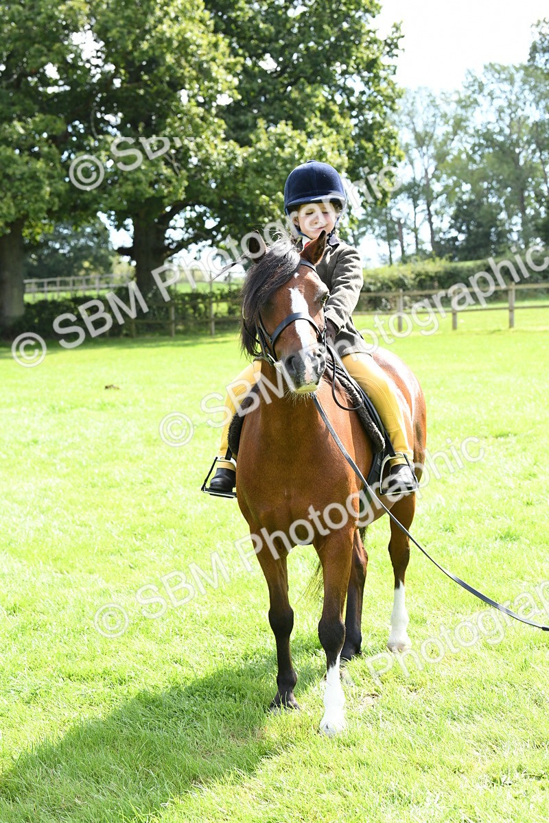 SBM_42585 - S20 - Lead Rein Mountain & Moorland Pony