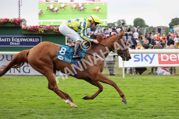 yr22072022r3-54 - Race 3 6.20pm Tomahawk Stakes