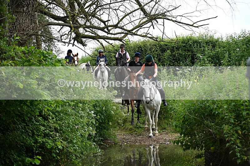 WJ7_2383 - Camera 2 Water Crossing