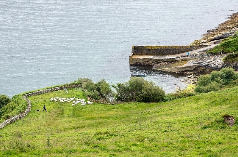 DSC_9291 - Muckross Head