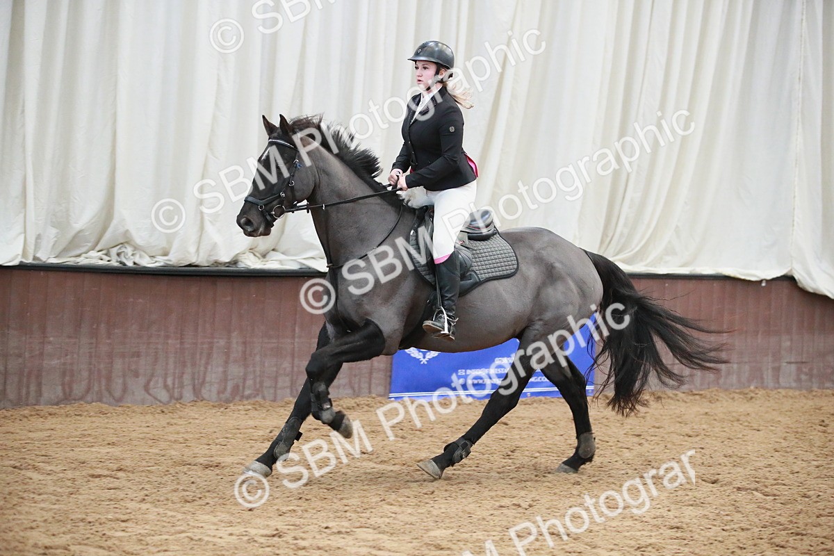 SBM_000451 - Class 2  - Senior British Novice - 90cm Open