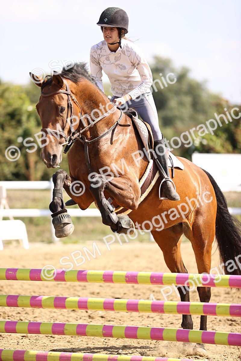 SBM_005887 - Class 9 - Senior British Novice - 90cm
