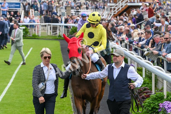 170524-Race 2-Botanical-7507 - Race 2 2.45pm Knights Solicitors Handicap