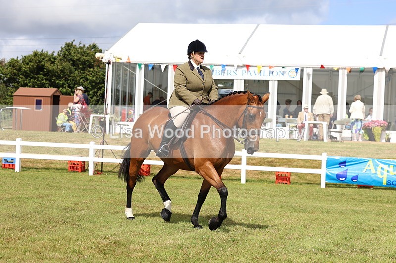 3E7A9420 - Class 4: Rising Star M/H Hunter