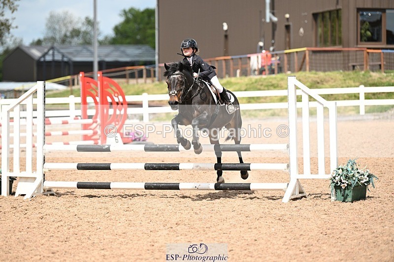 250504-142434-03584 - Cls 23 Stepping Stones