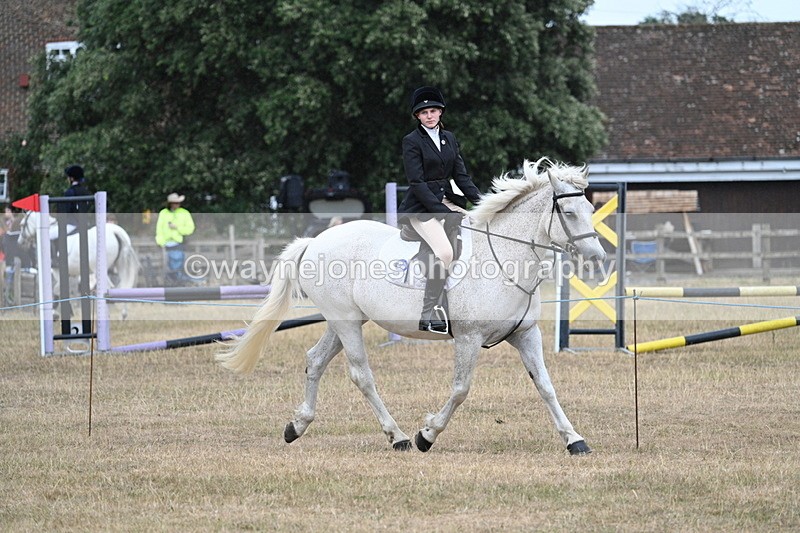 WJ7_0959 - Class 7 Riding Club Show Horse