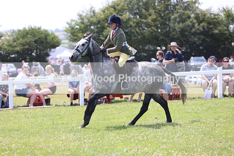 JPP_2478 - Class 21: Working Hunter 60cm