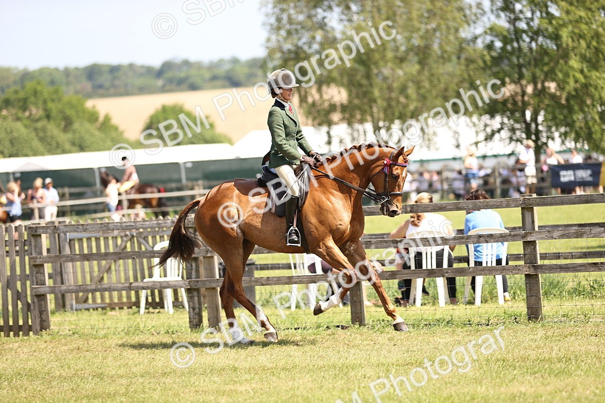 SBM_14884 - Class 78 - LIHS BSHA Open Racehorse & Show Horse