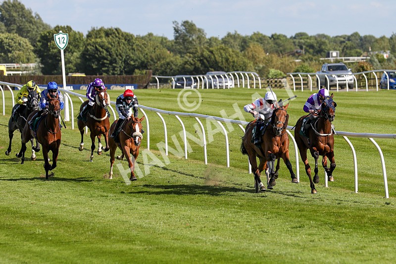 080624-Race 7-Starshine Legend-5090 - Race 7