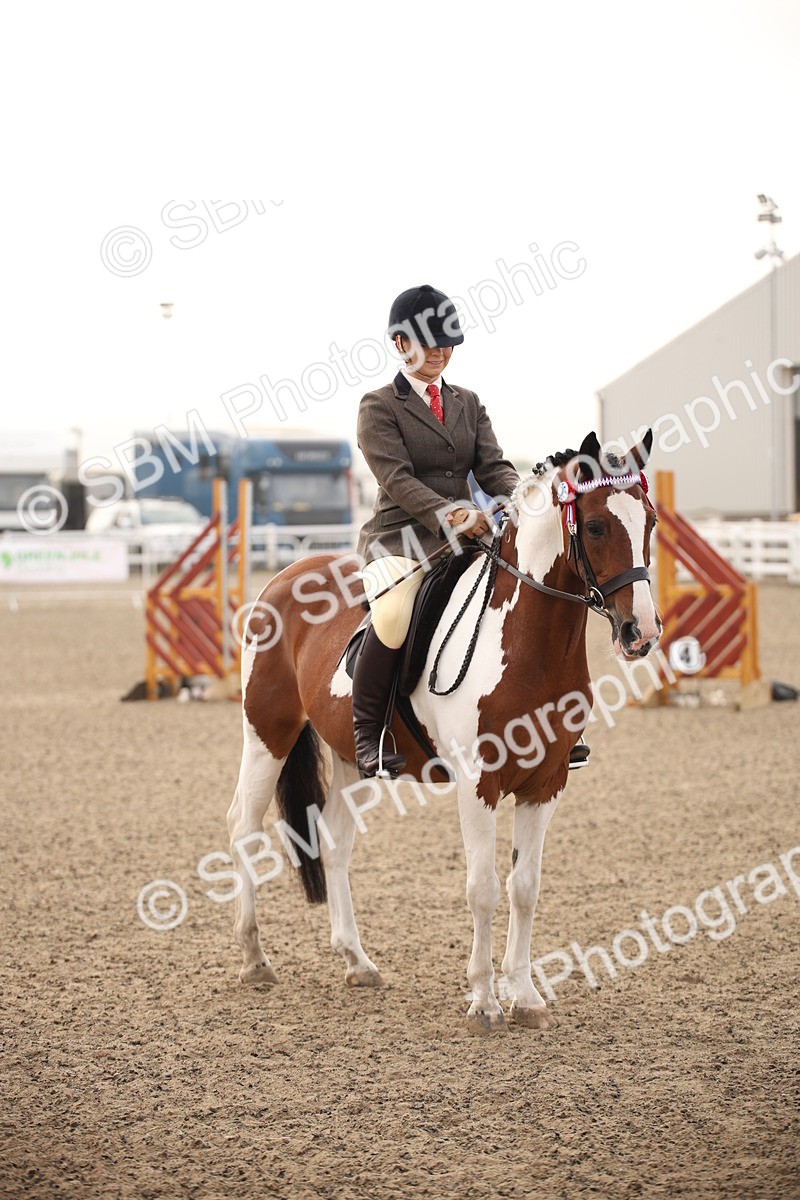 SBM_09729 - Class 401 Riding Club Pony