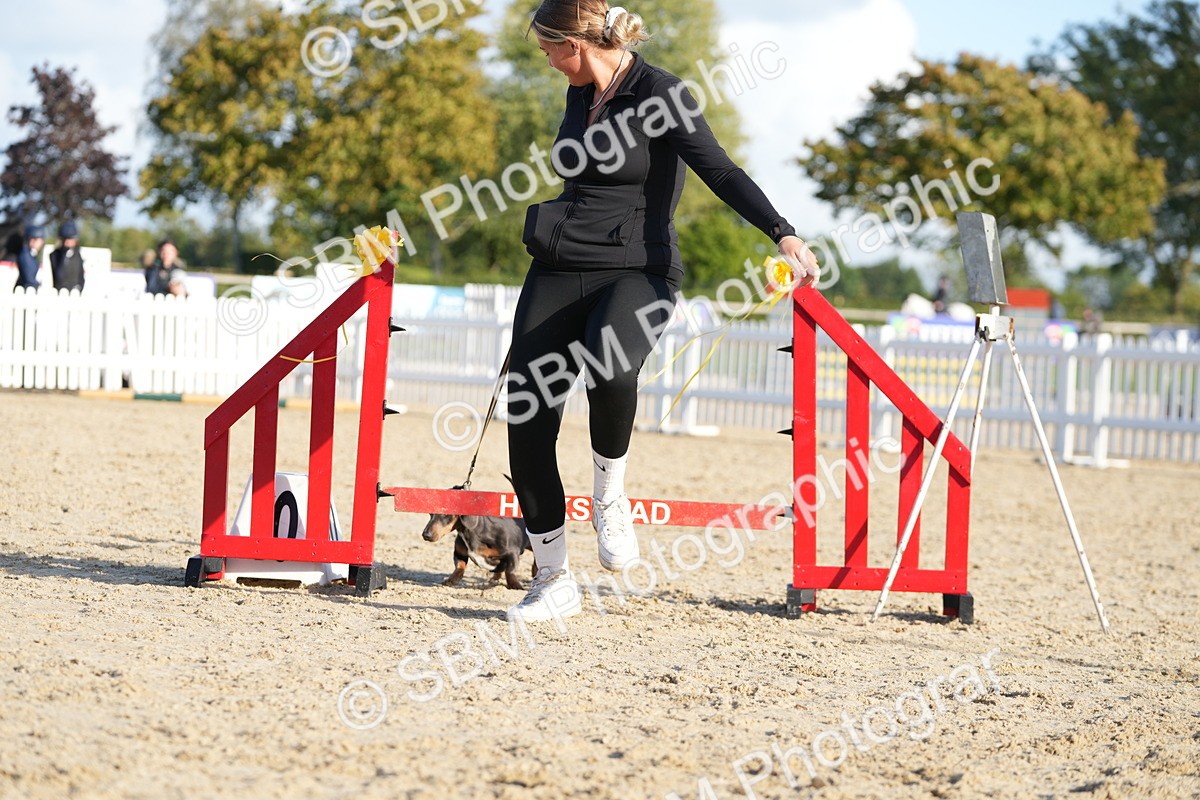 SBM_29032 - J43 - Horse & Hound Open 50cm
