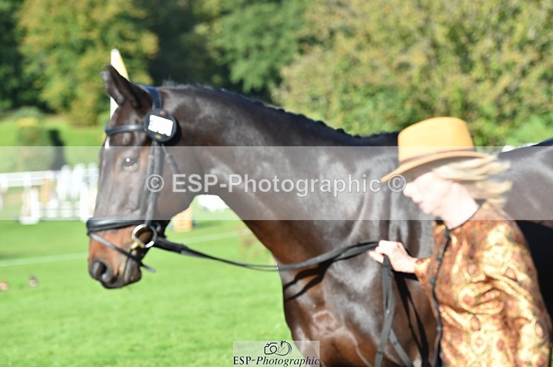 231022-111022-23778 - 465-LANGALLER.ALPHA.BRAVO-Cheryl.Beer-TrotUp+SJ