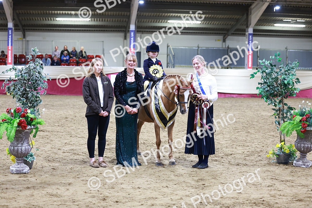 SBM_20582 - Class H - IH Competition - Riding Club champ
