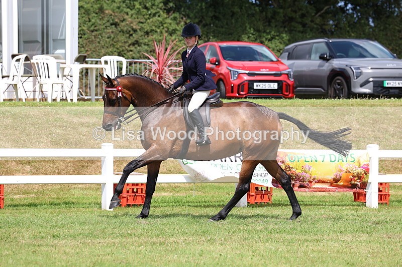 3E7A0584 - Rising Star Ridden Championship