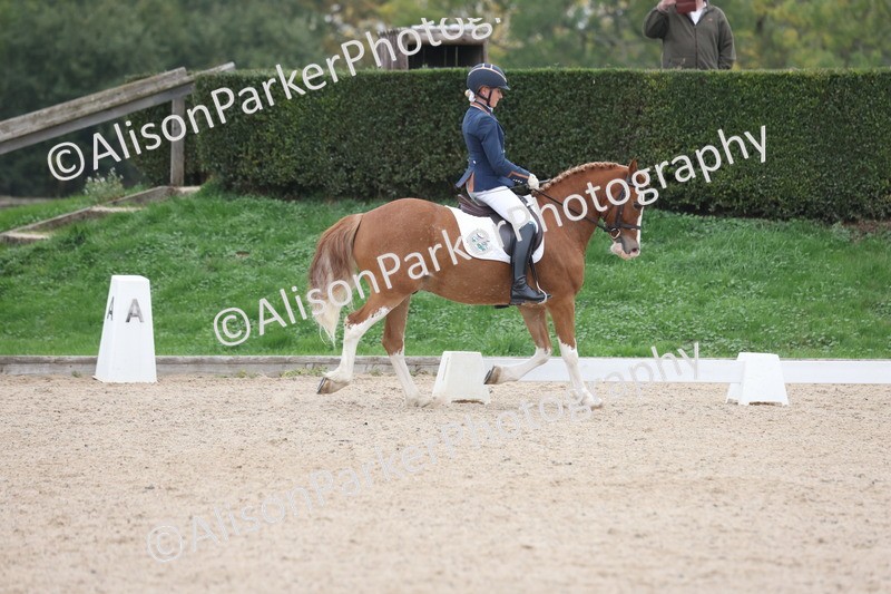 20251011-0417 - Class 4 - Novice 2