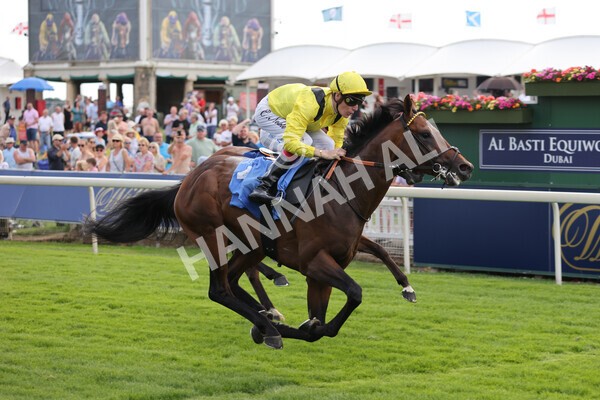 yr08072022r4-21 - Race 4 3.50pm William Hill Pick Your Places Stakes