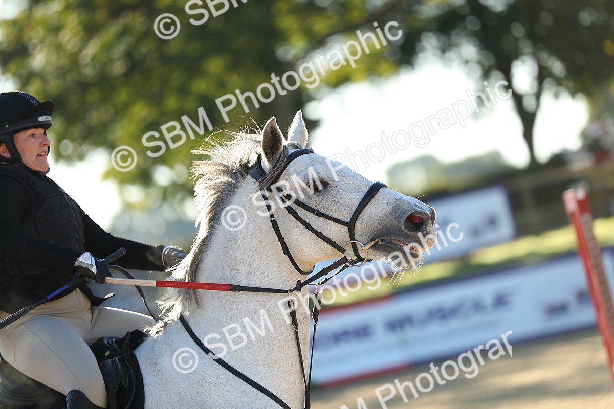 SBM_14781 - J32 - Senior 70cm Championship