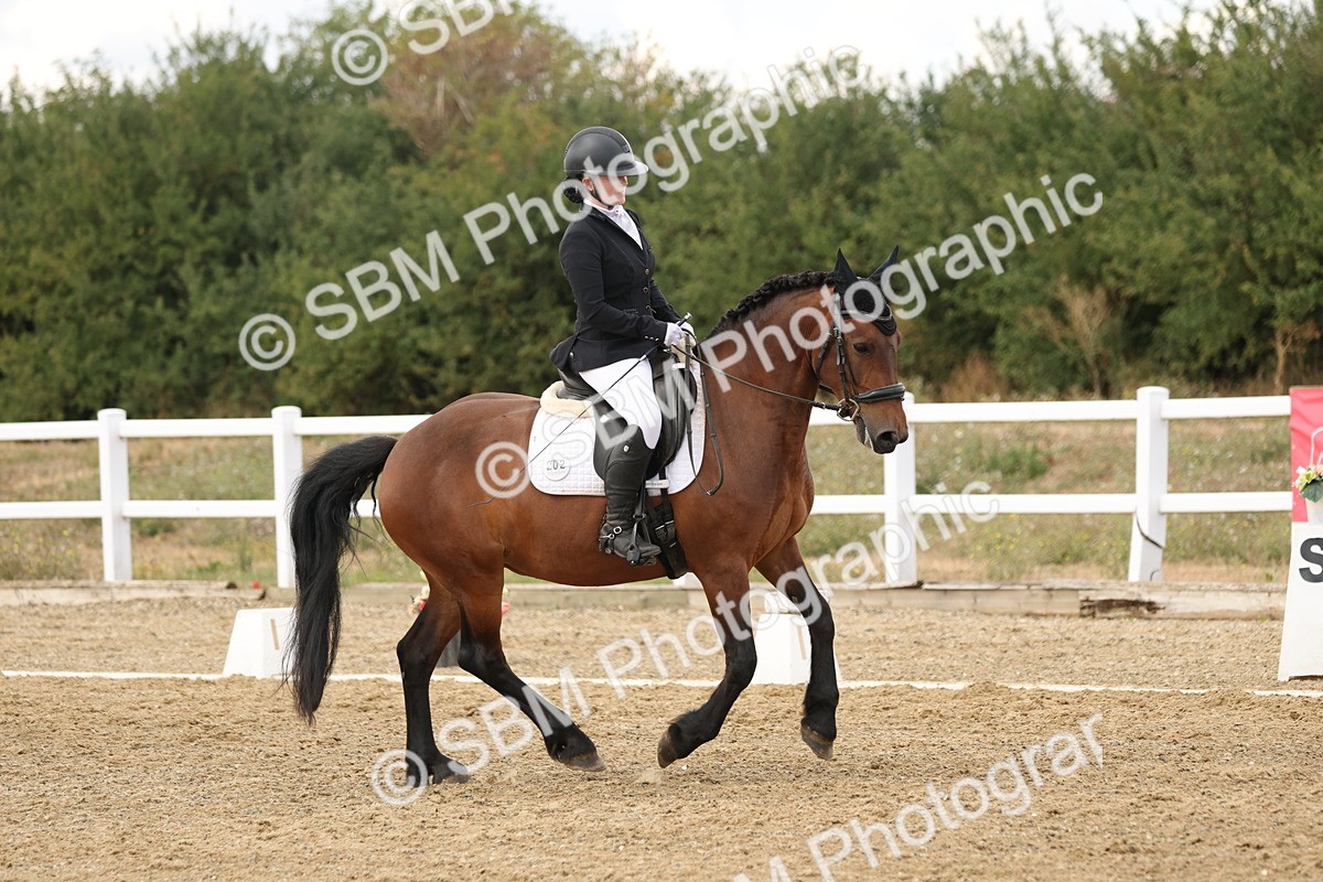 SBM_010596