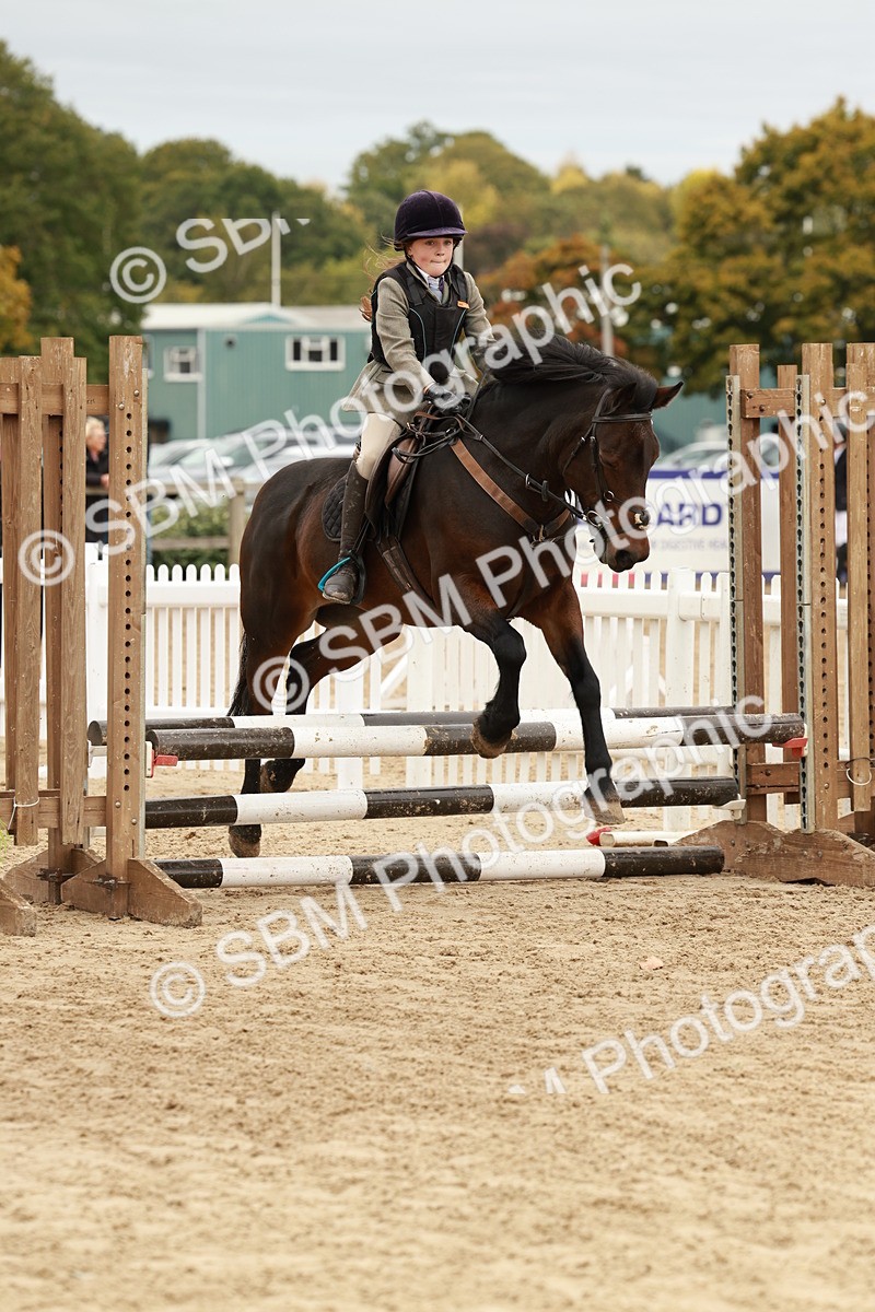 SBM_66886 - J13 - Junior Pony 60cm Championship