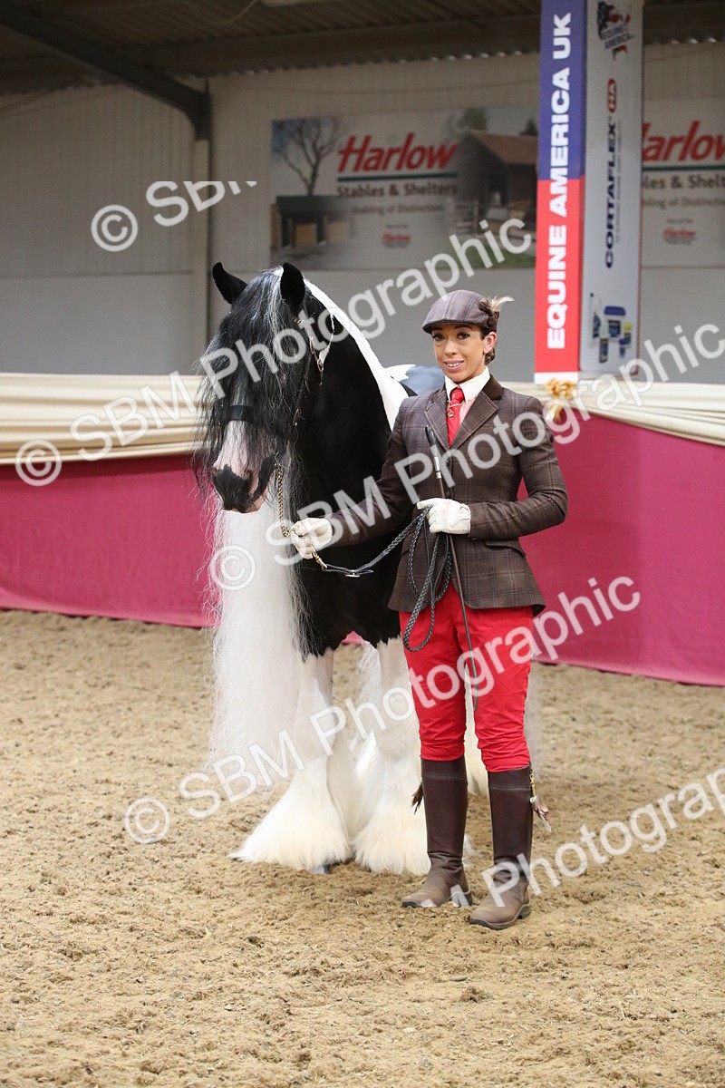 SBM_05775 - Class 9R - Regional IH Pre-Vet