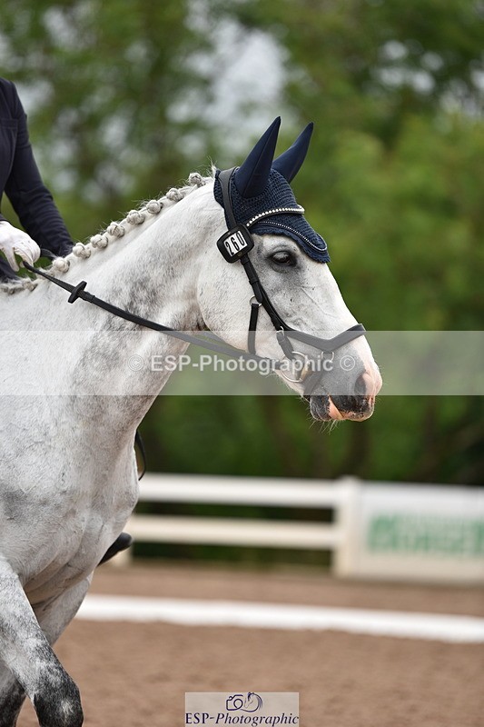 240623A-112858-17171 - Cls 47 BD Novice 22