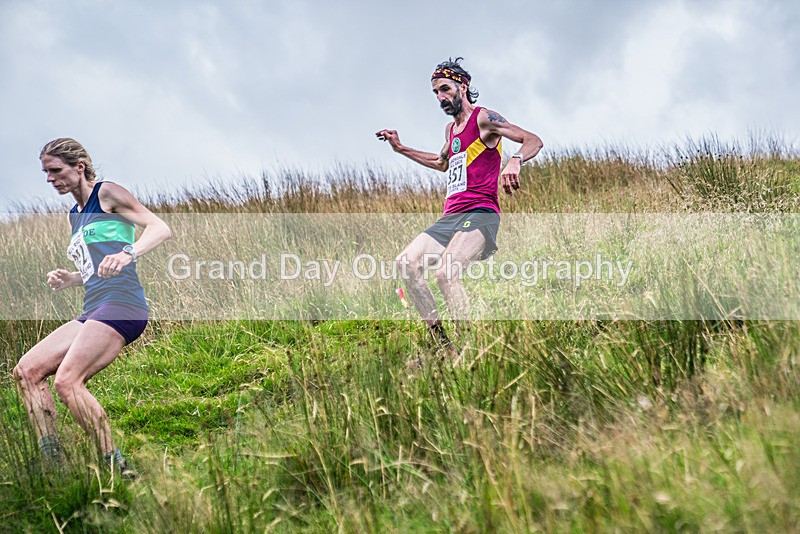 Steel Fell-531 - Steel Fell Race Wednesday 7th August 2024