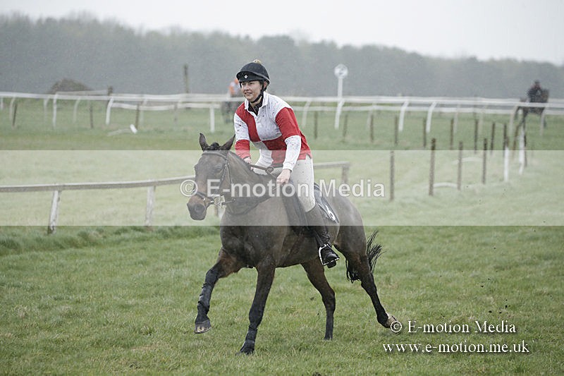 PtP 150320 0040 - New Forest Point-to-Point Larkhill 15/03/20