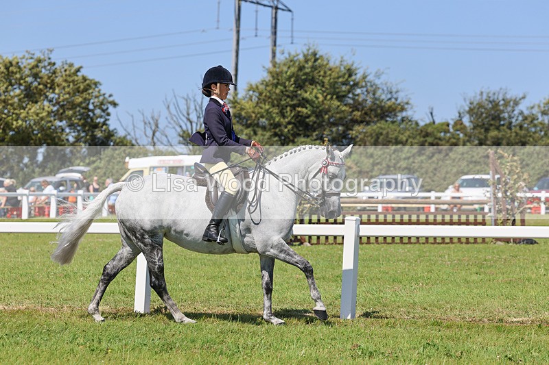 IMG_2130 - Plaited Ridden Championship
