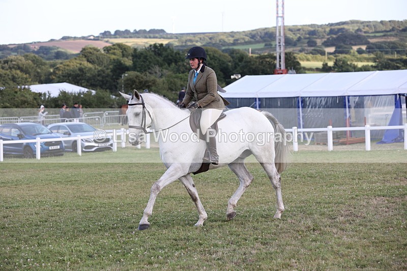 JPP_3560 - Class 22: Working Hunter 90cm