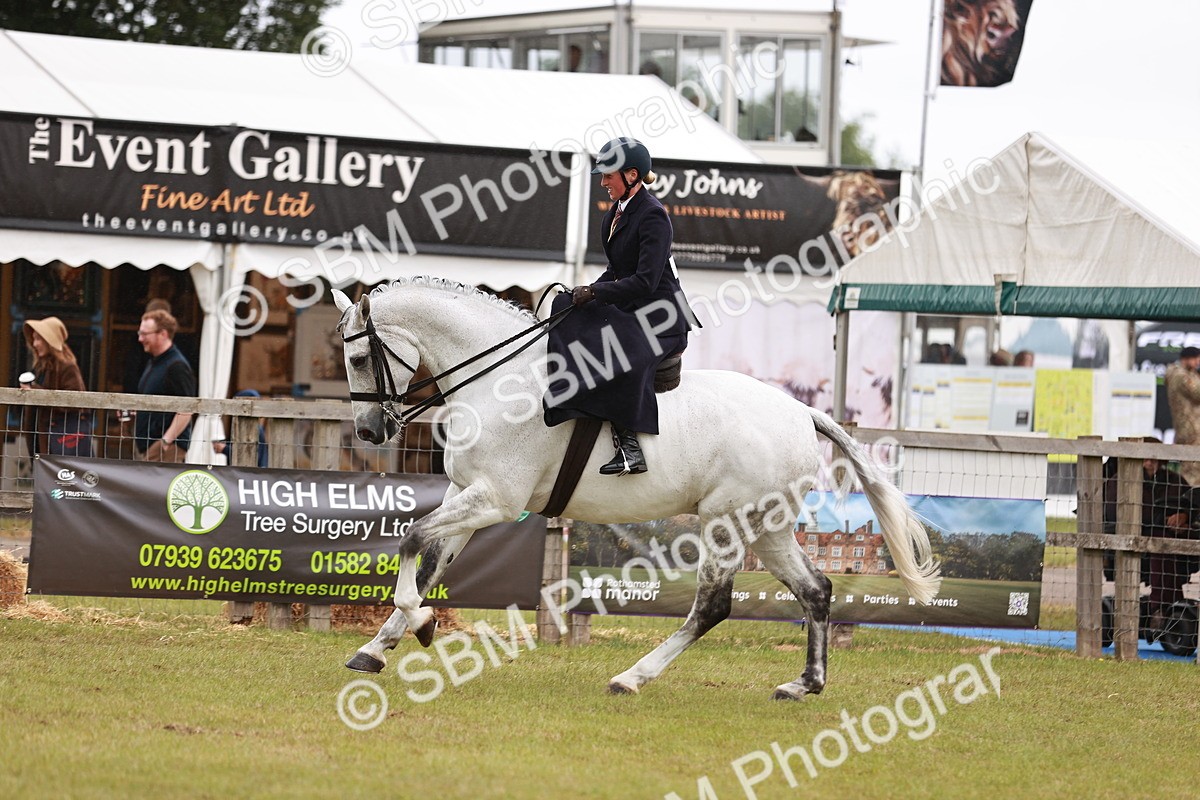 SBM_10987 - Class 81-84 - RIHS Ridden hunters Inc Ladies Hunter