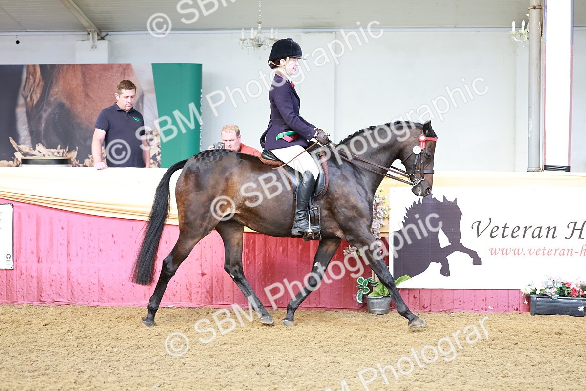 SBM_12021 - Class 102 - Equitation (Best Rider) Adult