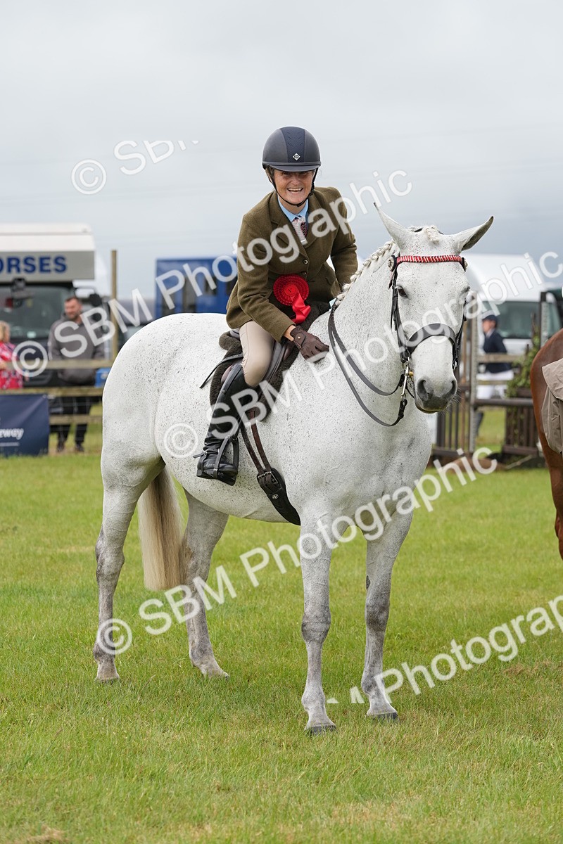 SBM_10642 - Class 97-98 - LIHS BSHA Rising Star Working Show Horse Hunter