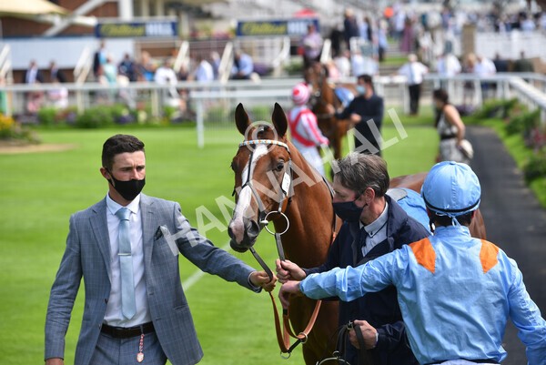 yr09072021r3-6 - Race 3 3.15pm William Hill Pick Your Places Irish EBF Novice Stakes