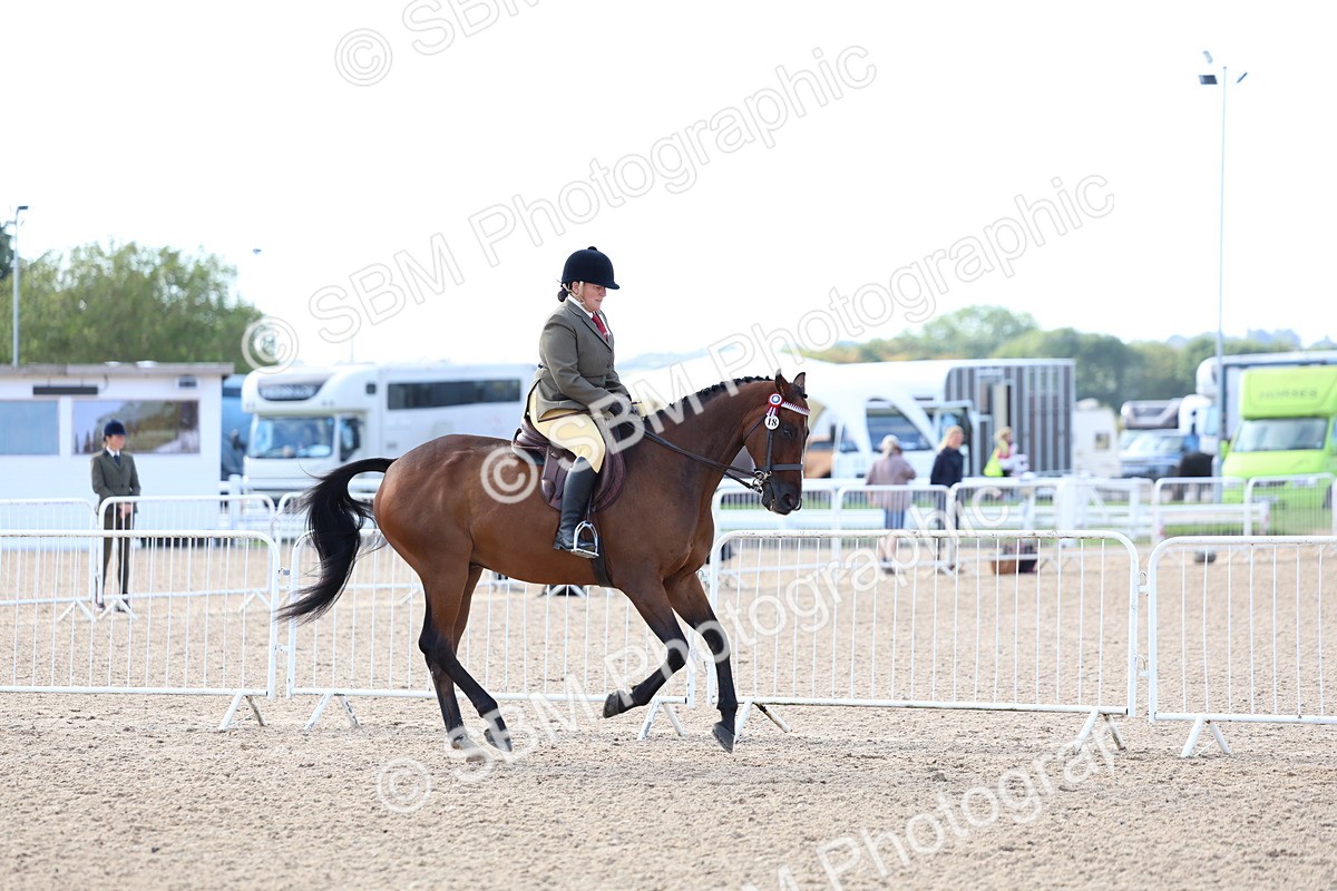 SBM_09120 - Class 303 - Ridden Pure Bred Horse Pony