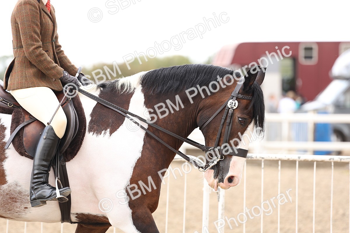 SBM_04169 - Class 54 - Riding Club Horse/Pony