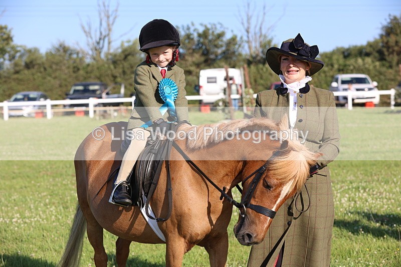 JPP_0909 - Class 16: Cornish Combination Leading Rein