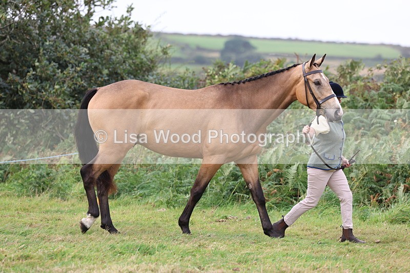 3E7A4314 - Class 15: Three Year Olds