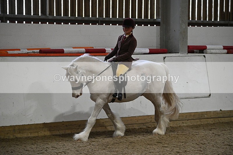 WJ7_4198 - Class 17 Ridden Cob