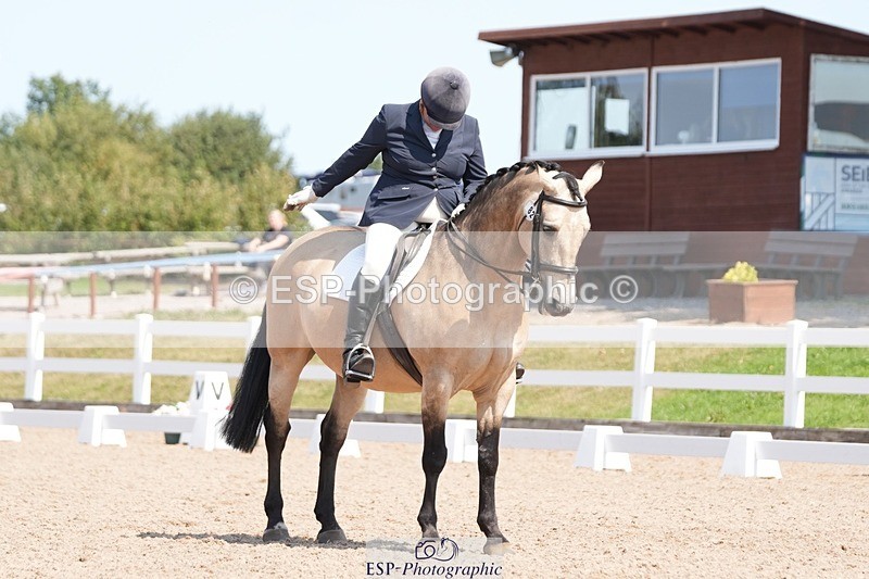 250817-131103-09249 - 082-Sarah.DavisWinston.Classic.Gold