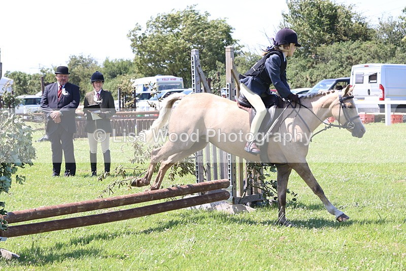 JPP_2210 - Class 20: Tiny Tots Working Hunter Pony