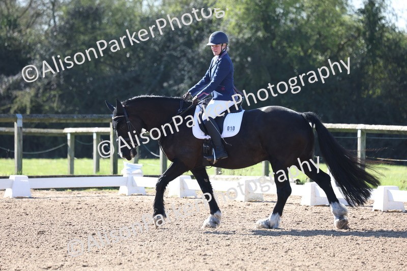 20260318-0128 - Class 2 - Intro 4