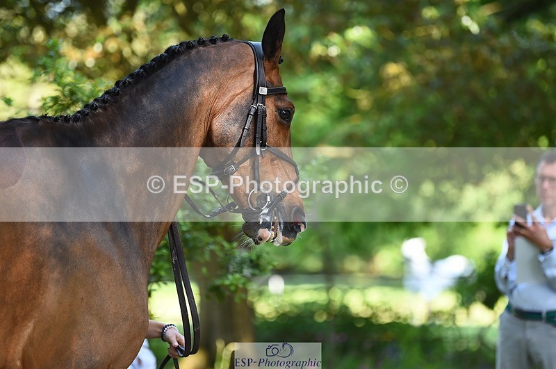 230524-161320-00770 - 256-ALS_RUSSIAN_ROLEX-Jemima_Howden-WEDTrotUp+DR