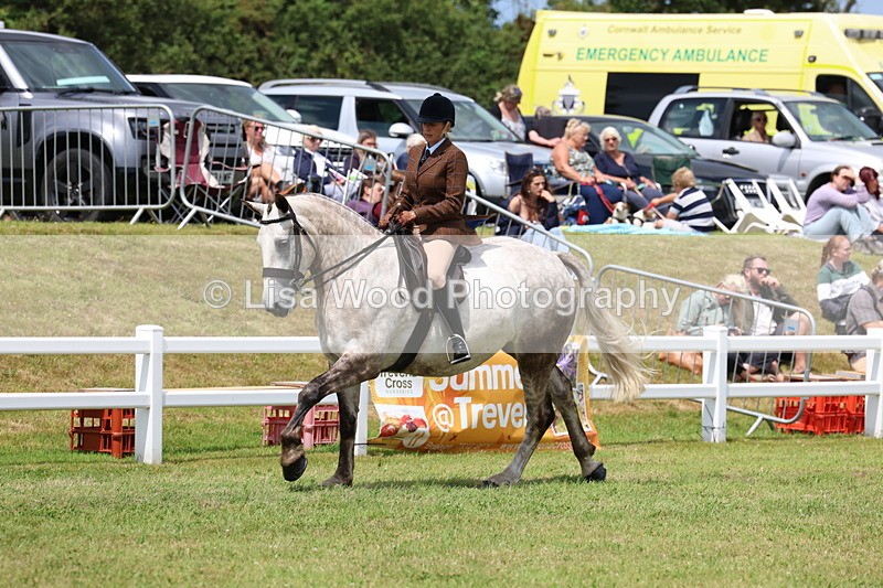 3E7A1965 - Class 10: Open Cob