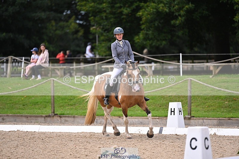 240809-104758-00292 - 157-Judi.Roome-Custard.Cream