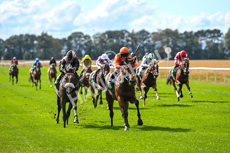 290825-Race 3-Be The Standard-8595 - Race 3
